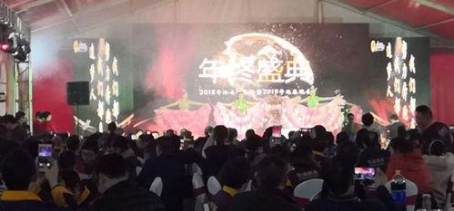 年会爆料视频大全最新,精彩瞬间回顾，年度盛宴精彩重现